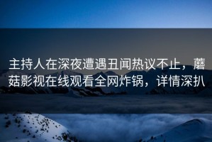 主持人在深夜遭遇丑闻热议不止，蘑菇影视在线观看全网炸锅，详情深扒