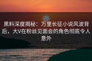 黑料深度揭秘：万里长征小说风波背后，大V在粉丝见面会的角色彻底令人意外