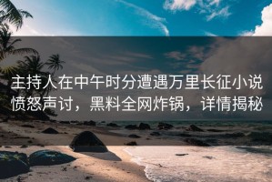 主持人在中午时分遭遇万里长征小说愤怒声讨，黑料全网炸锅，详情揭秘