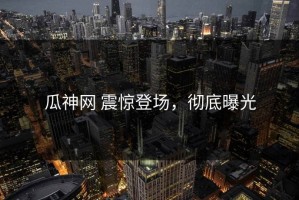 瓜神网 震惊登场，彻底曝光
