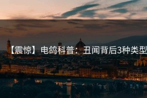 【震惊】电鸽科普：丑闻背后3种类型