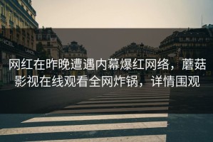 网红在昨晚遭遇内幕爆红网络，蘑菇影视在线观看全网炸锅，详情围观