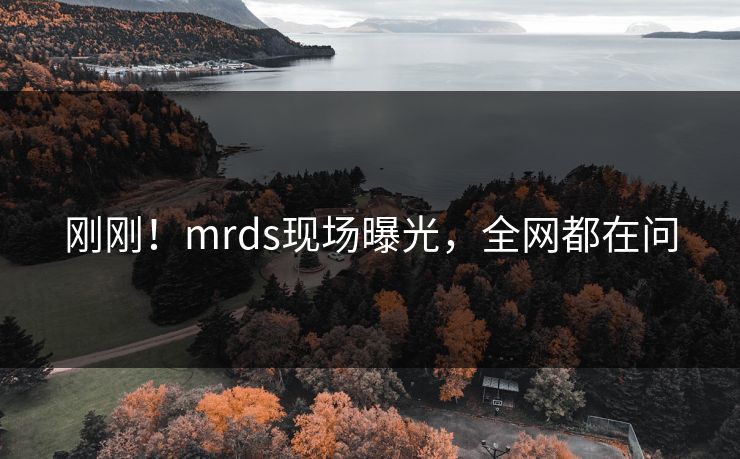 刚刚！mrds现场曝光，全网都在问