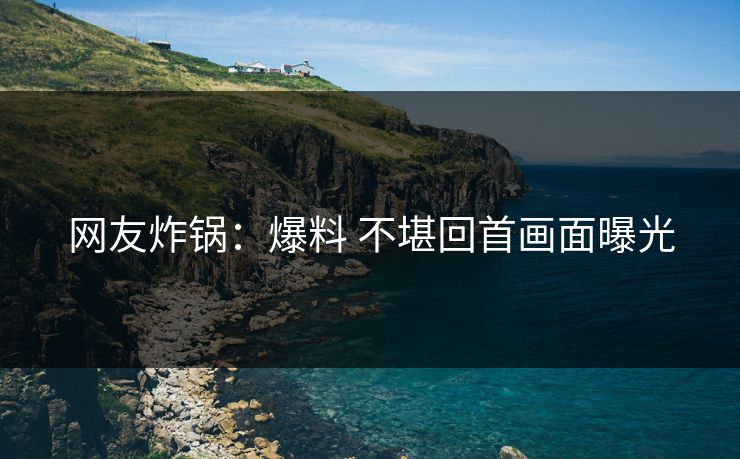 网友炸锅：爆料 不堪回首画面曝光
