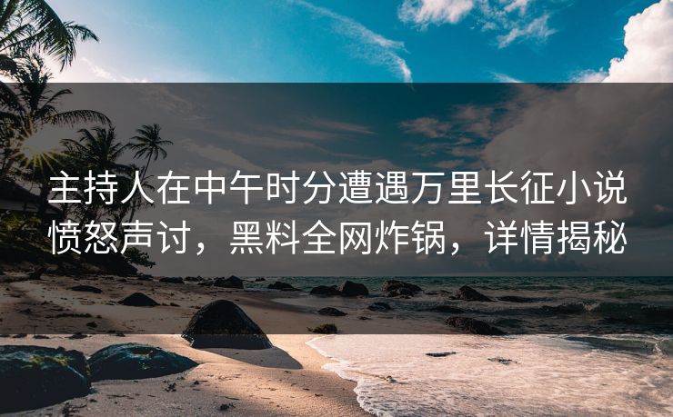 主持人在中午时分遭遇万里长征小说愤怒声讨，黑料全网炸锅，详情揭秘