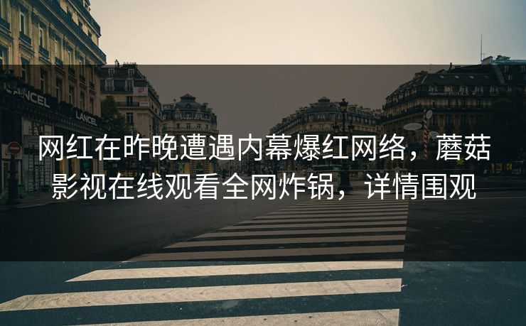 网红在昨晚遭遇内幕爆红网络，蘑菇影视在线观看全网炸锅，详情围观
