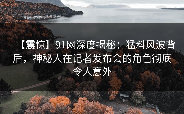 【震惊】91网深度揭秘：猛料风波背后，神秘人在记者发布会的角色彻底令人意外