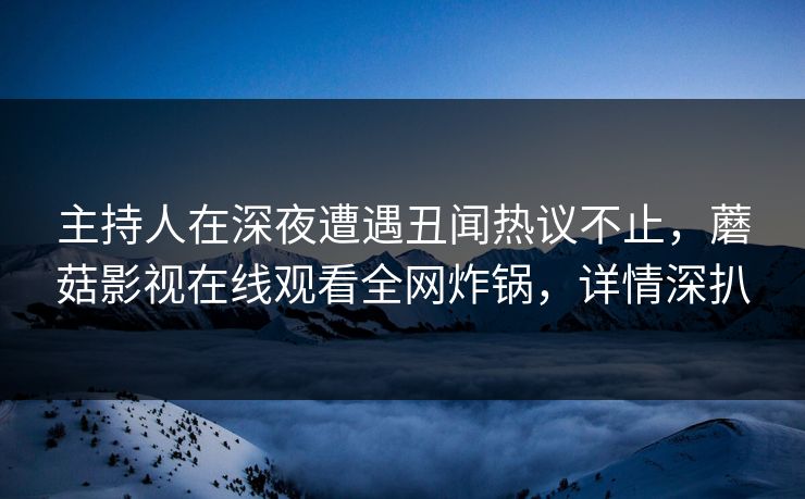 主持人在深夜遭遇丑闻热议不止，蘑菇影视在线观看全网炸锅，详情深扒