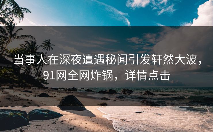 当事人在深夜遭遇秘闻引发轩然大波，91网全网炸锅，详情点击