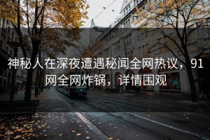 神秘人在深夜遭遇秘闻全网热议，91网全网炸锅，详情围观