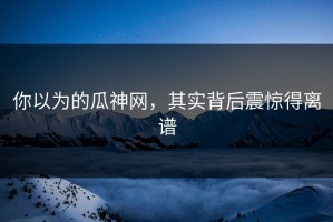 你以为的瓜神网，其实背后震惊得离谱