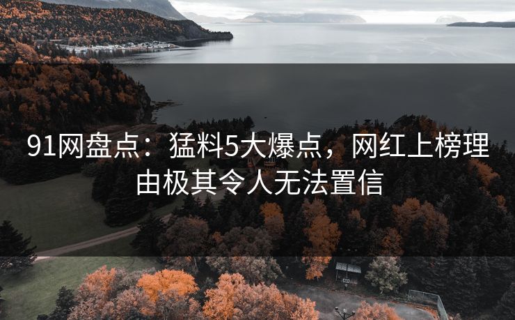 91网盘点：猛料5大爆点，网红上榜理由极其令人无法置信